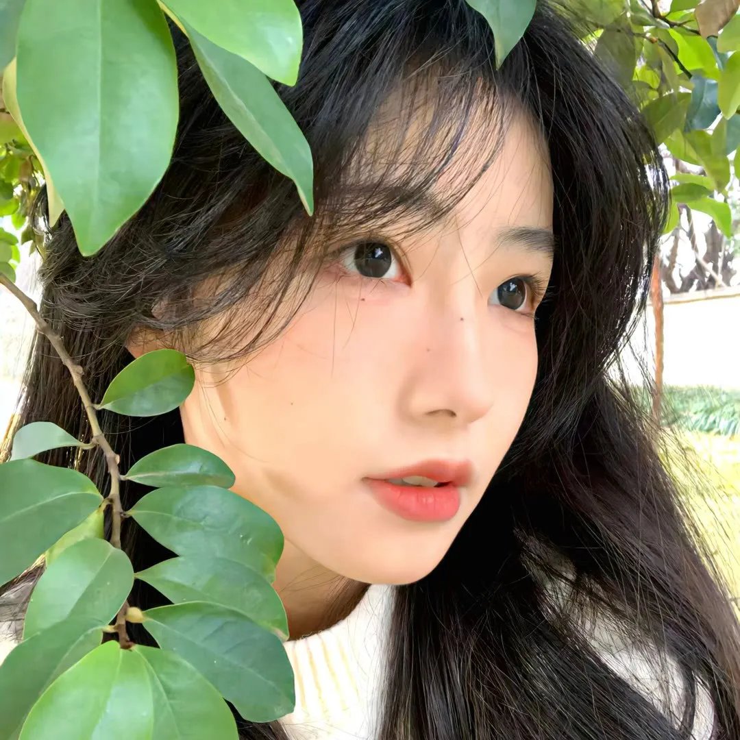 丛林里的诱惑